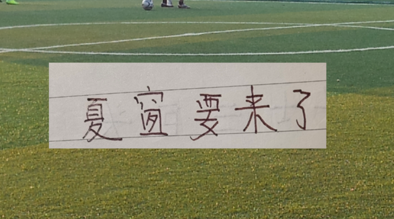 文班无缘首冠 尼克斯53年后再夺冠